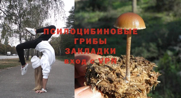 индика Вязьма