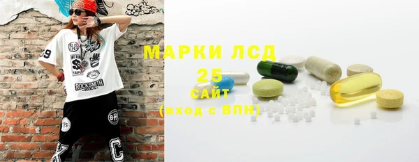 тгк Горнозаводск