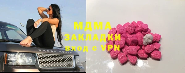 индика Вязьма