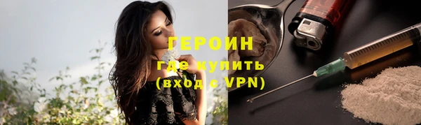 индика Вязьма