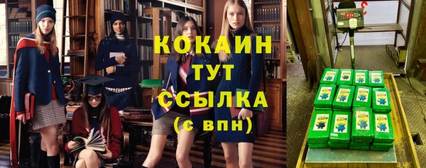 ГАЛЛЮЦИНОГЕННЫЕ ГРИБЫ Горно-Алтайск