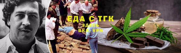 индика Вязьма