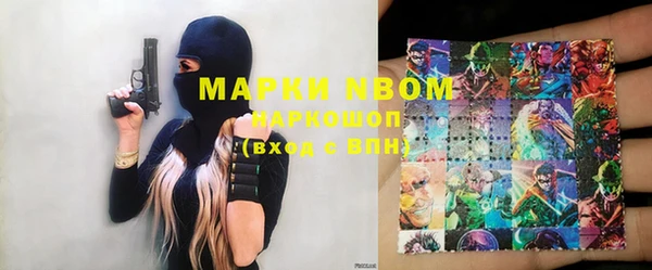 индика Вязьма